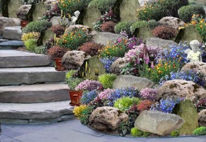 Fotografii de design peisagistic - soiurile rockeries la cabana lor de vară (proiectare) Fotografii de design peisagistic - soiurile rockeries la cabana lor de vară