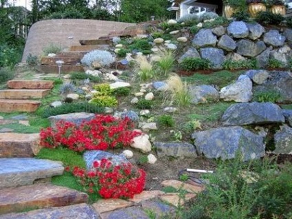 Fotografii de design peisagistic - soiurile rockeries la cabana lor de vară (soi) Fotografii de design peisagistic - soiurile rockeries la cabana lor de vară