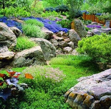 Fotografii de design peisagistic - soiurile rockeries la cabana lor de vară (foto) Fotografii de design peisagistic - soiurile rockeries la cabana lor de vară
