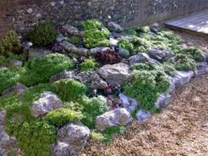 Fotografii de design peisagistic - soiurile Rockeries la cabana lor de vară (peisaj secțiune de design fotografie) Fotografii de design peisagistic - soiurile rockeries la cabana lor de vară
