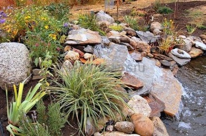 Fotografii de design peisagistic - soiurile rockeries la cabana lor de vară (soi) Fotografii de design peisagistic - soiurile rockeries la cabana lor de vară