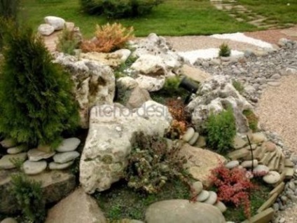 Fotografii de design peisagistic - soiurile rockeries la cabana lor de vară (soi) Fotografii de design peisagistic - soiurile rockeries la cabana lor de vară