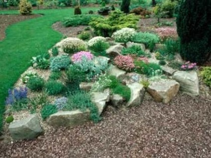 Fotografii de design peisagistic - soiurile rockeries la cabana lor de vară (peisagistică fotografie grădina) Fotografii de design peisagistic - soiurile rockeries la cabana lor de vară