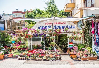 Photowalk străzile Alan (străzi) O plimbare pe străzile din Alanya