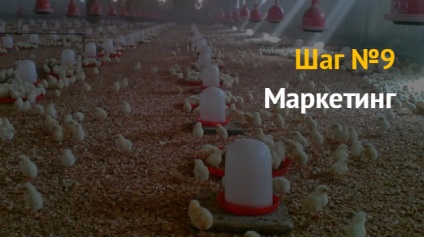 idee de afaceri cum să înceapă o afacere pentru creșterea puilor de carne și găini ouătoare (de afaceri) idee de afaceri cum să înceapă o afacere pentru creșterea puilor de carne și găini ouătoare