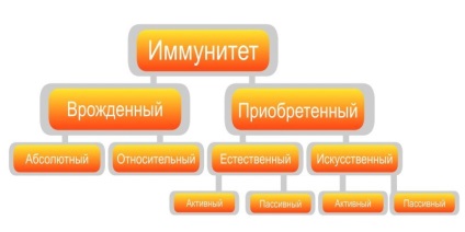 imunitatea omului (imunitatea înnăscută) imunitatea omului