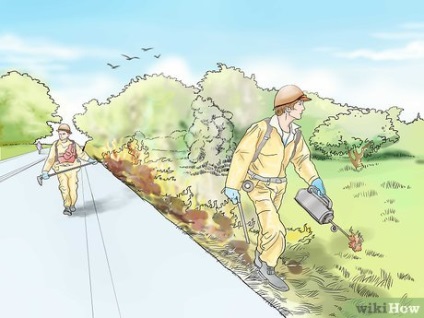 Cum se stinge un incendiu de pădure (incendiu) Cum se stinge un incendiu de pădure