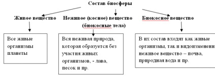 Lecții Sinopsis pe „Biosfera (lecție) Lecții Sinopsis pe „Biosferei