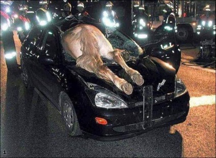 accident dur pe drumuri foto (drumuri) accident dur pe fotografie rutier