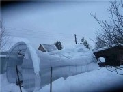 Cumparati cu efect de seră - întrebări frecvente atunci când cumpără o seră (pentru a alege pentru sere policarbonat) Cumparati cu efect de seră - întrebări frecvente atunci când cumpără o seră