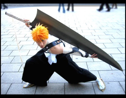 Cele mai bune fotografii Cosplay (poze) Cel mai bun Cosplay fotografie
