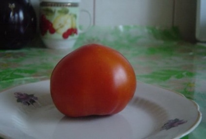 Cele mai bune soiuri de legume pentru Urali (Urali) Cele mai bune soiuri de legume pentru Urali