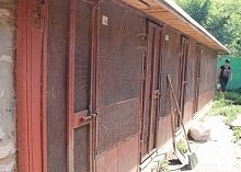 Într-o zi zoozaschitnitsey (activiștii pentru drepturile animalelor) zoozaschitnitsey Într-o zi