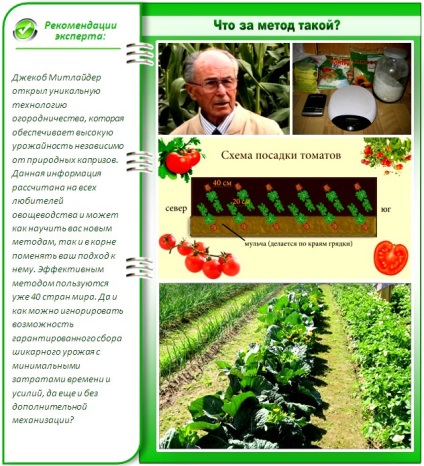 gradina de legume la detalii tehnice mitlayderu aranjament corect (cum de a asigura grădină la mitlayderu) gradina de legume la mitlayderu aranjament corect detalii tehnice