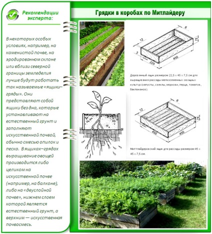 gradina de legume la detalii tehnice mitlayderu aranjament corect (mitlayderu) gradina de legume la mitlayderu aranjament corect detalii tehnice