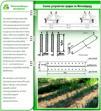 gradina de legume la detalii tehnice mitlayderu aranjament corect (cum de a asigura grădină la mitlayderu) gradina de legume la mitlayderu aranjament corect detalii tehnice