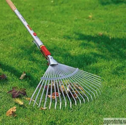 frunzele căzute, ce să facă cu frunze căzute (frunze) frunzele căzute, ce să facă cu frunze căzute