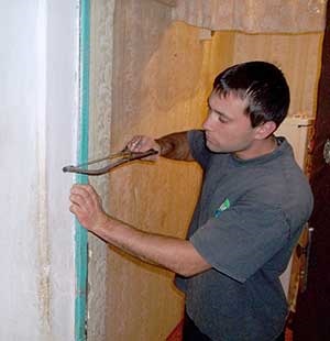 Organizarea în mișcare pe cont propriu (lor) Organizam mișcare pe cont propriu