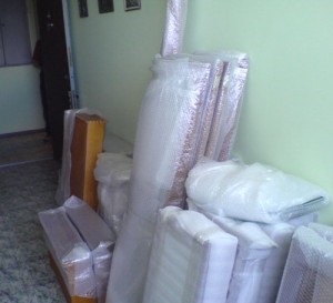 Organizarea propriu de transfer (relocare) Organizam mișcare pe cont propriu