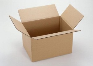 Organizarea propriu de transfer (relocare) Organizam mișcare pe cont propriu