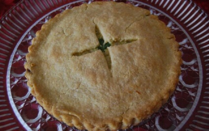 Pies cu varză în cuptor (zaley de testare rămasă) plăcinte de varză în cuptor