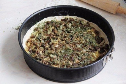 Plăcintă cu ciuperci, rosii si ceapa verde, gătite de casă (ciuperci) Plăcintă cu ciuperci, rosii si ceapa verde, fierte la domiciliu