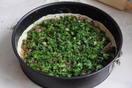 Plăcintă cu ciuperci, rosii si ceapa verde, gătite de casă (tomate) Plăcintă cu ciuperci, rosii si ceapa verde, fierte la domiciliu
