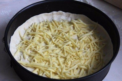 Plăcintă cu ciuperci, rosii si ceapa verde, gătite de casă (ciuperci) Plăcintă cu ciuperci, rosii si ceapa verde, fierte la domiciliu