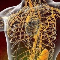 Este bine pentru sănătatea organismului cerealelor, și ceea ce efectul terapeutic de cereale alimentare - viata mea (de sănătate) Fie că este vorba de sănătate cereale organisme benefice, și ceea ce efectul terapeutic de cereale alimentare - viața mea