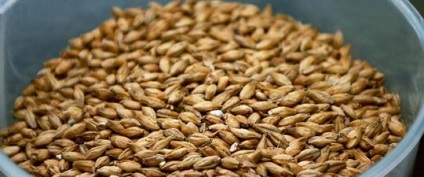 Fie cereale benefice pentru sănătatea organismului, și ce efectul terapeutic de cereale alimentare - viața mea (utilă) Fie că este vorba de sănătate cereale organisme benefice, și ceea ce efectul terapeutic de cereale alimentare - viața mea