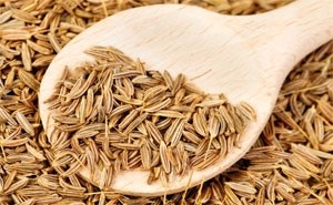 remedii Creșterea lactației populare (mijloace) Creșterea remedii populare lactatie