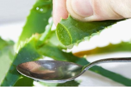 Folosirea de aloe vera pentru masca de păr acasă cu suc, ulei, gel (utilizarea de gel de păr suc de acasă ulei masca de aloe vera) Folosirea de aloe vera pentru masca de păr acasă cu suc, ulei, gel