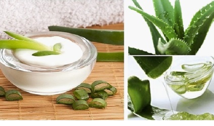 Folosirea de aloe vera pentru masca de păr acasă cu suc, ulei, gel (credință) Folosirea de aloe vera pentru masca de păr acasă cu suc, ulei, gel