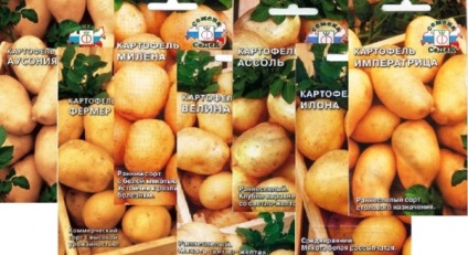 Soiurile timpurii de cartofi și cele mai bune, în creștere lor propriile mâini (soiurile timpurii de cartofi) soiurile timpurii de cartofi cel mai bun, în creștere propriile lor mâini