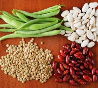 izoflavone din plante și lignani prelungi femeie tânără, Elena Shavlovsky blog (intinerire naturală a femeilor) izoflavone din plante și lignani prelungi femeie tânără, Elena blog Shavlovsky