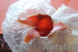 Rolls cu castraveti si branza - gatiti pas cu pas, cu fotografii (castravete) Rolls cu castraveti si branza - gatiti pas cu pas, cu fotografii
