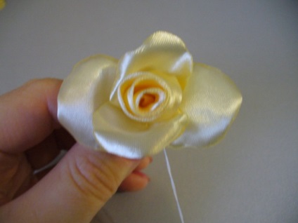 Rose Satin (Rose) Rose Satin