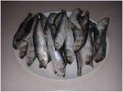 hering sărat-Home (hering) sărat-Home hering