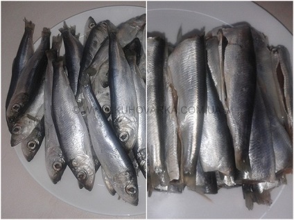 hering sărat-Home (hering) sărat-Home hering