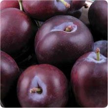 prune coapte modul de a alege (coapte) Cum de a alege un prune coapte