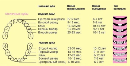 Date dentitie, simptome dentitie și măsuri pentru a elimina simptomele nedorite (semne) Perioada de dentiție simptome dentitie și măsuri pentru a elimina simptomele nedorite