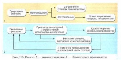Proprietăți biogeocenosis (biogeocenosis) proprietăţile biogeocenosis