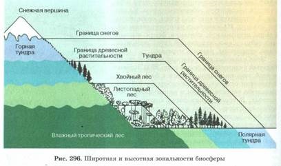 Proprietăți biogeocenosis (o substanță creată este procesată) proprietăţile biogeocenosis