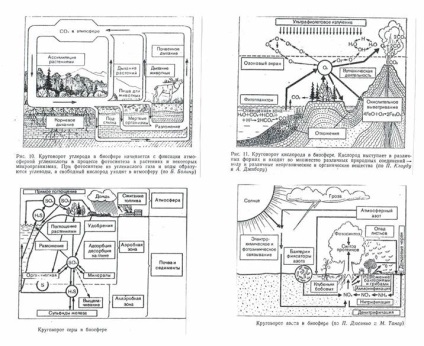 Proprietăți biogeocenosis (activități umane) proprietăţile biogeocenosis