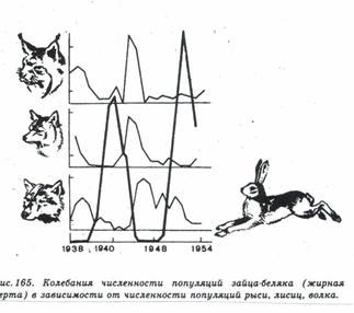 Proprietăți biogeocenosis (schimbarea ecosistemelor afectate) proprietăţile biogeocenosis