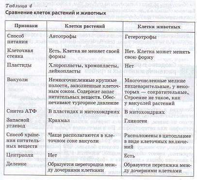 Analogii și diferențe în structura celulelor de plante, animale și fungi (și ciuperci) Analogii și diferențe în structura celulelor de plante, animale și fungi