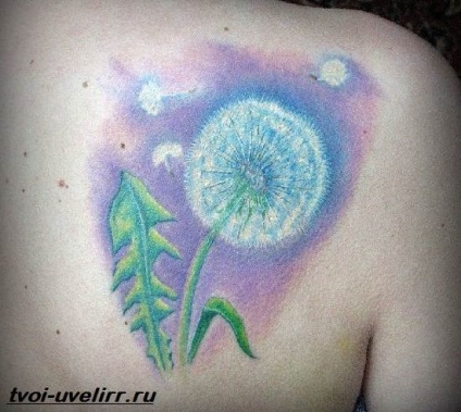 Tatuaje păpădie (Taraxacum tatuaj) tatuaj păpădie