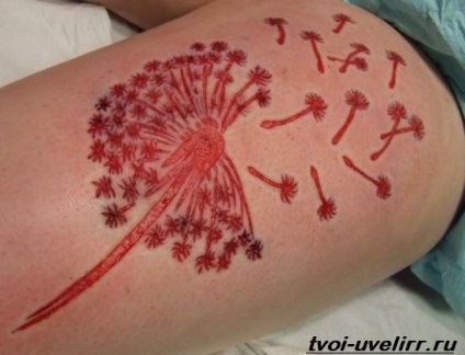 Tatuaje păpădie (Taraxacum valoare tatuaj) tatuaj păpădie