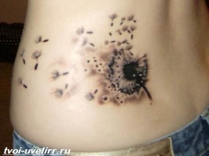 Tatuaje păpădie (Taraxacum tatuaj) tatuaj păpădie