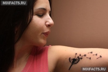 idei Păpădie tatuaj și fotografii (idei) idei Păpădie tatuaj și fotografii